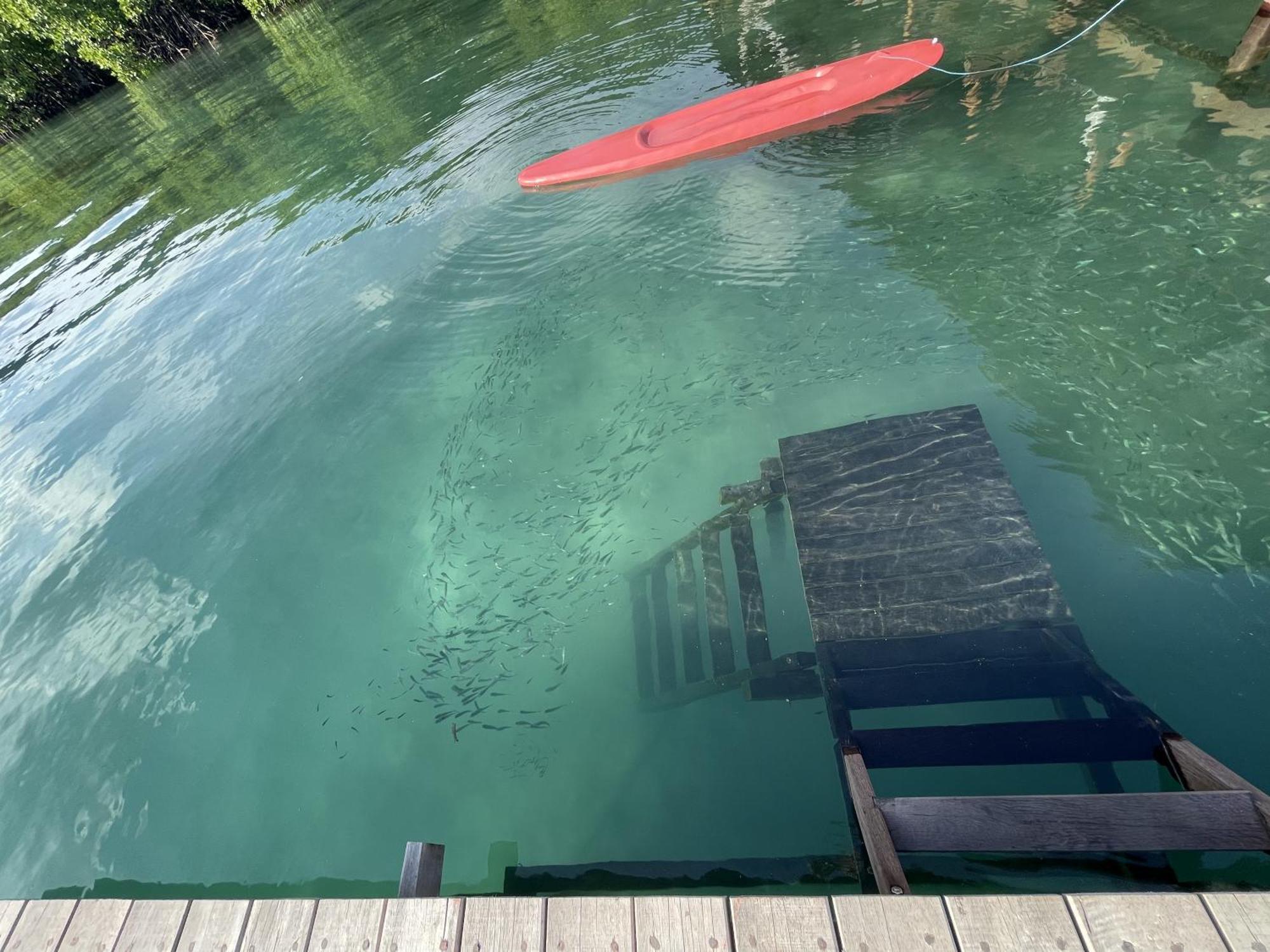 Floating Paradise Karimunjawa Dış mekan fotoğraf