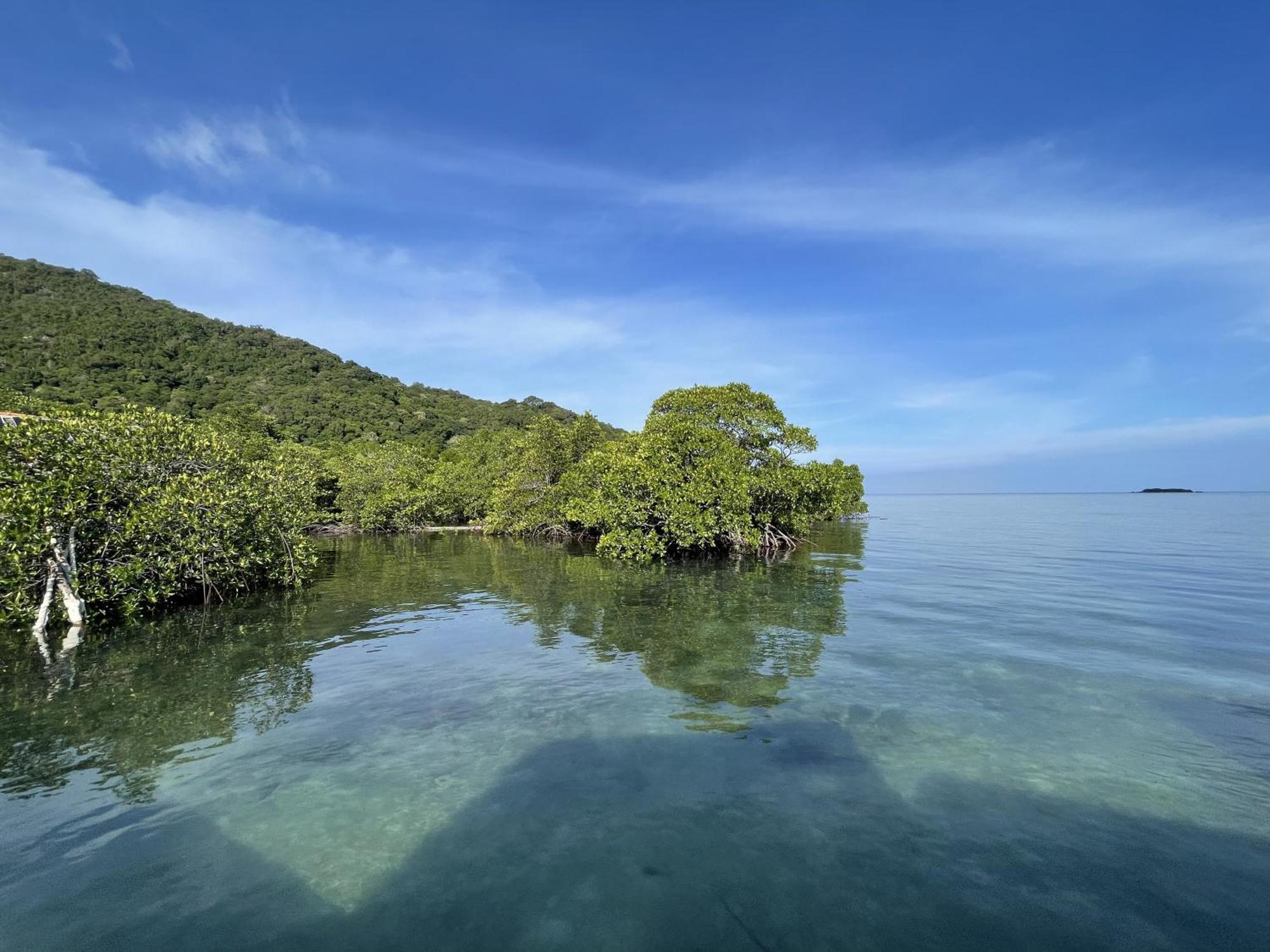Floating Paradise Karimunjawa Dış mekan fotoğraf